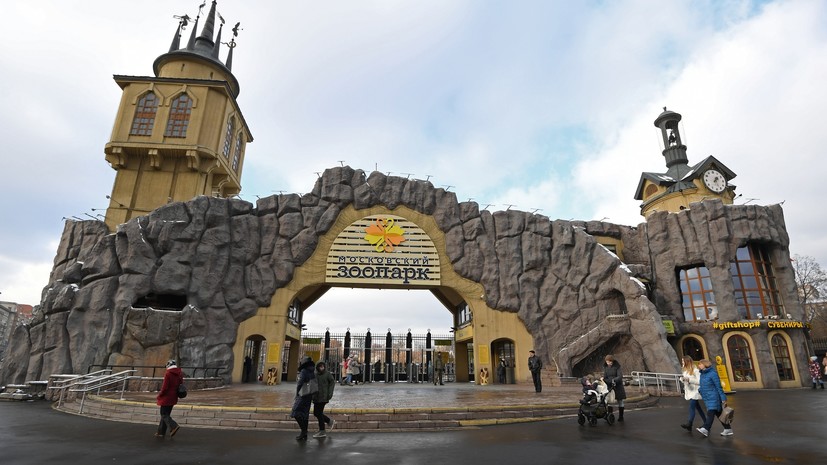 В Московском зоопарке появился на свет птенец краснокнижного журавля