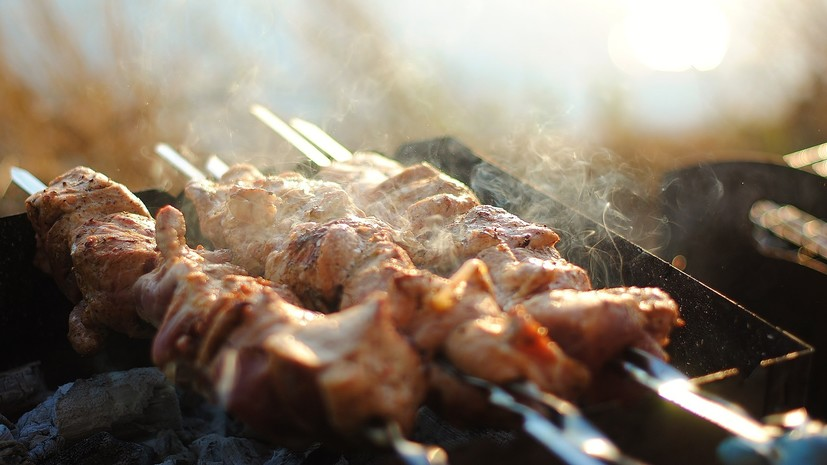 Эксперт дала советы по здоровому питанию во время отдыха на природе