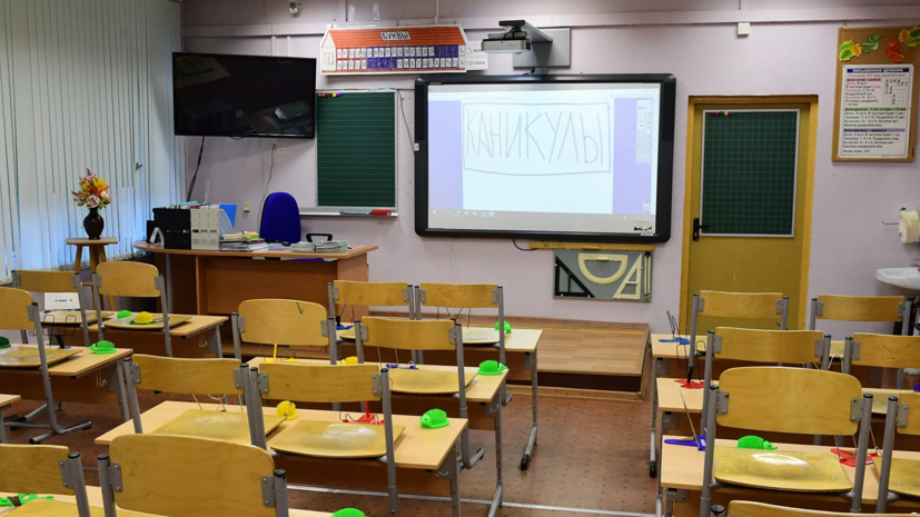 Губернатор Подмосковья дал распоряжение усилить меры безопасности в школах и лагерях