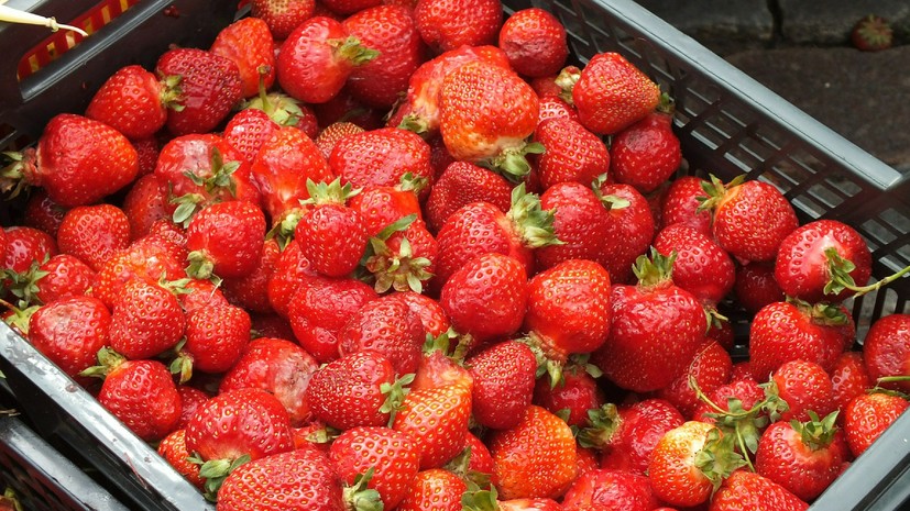В Москве открылись первые 77 площадок для торговли клубникой