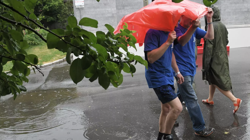 Тишковец пообещал москвичам «летний коктейль» с грозой и ливнем
