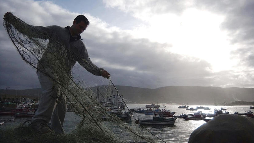 Около 387 тысяч тонн водных биоресурсов добыли рыбаки Приморья в 2021 году