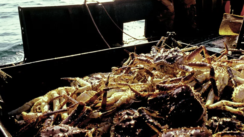 Японское судно выдворили из России после уплаты штрафа в 6 млн рублей