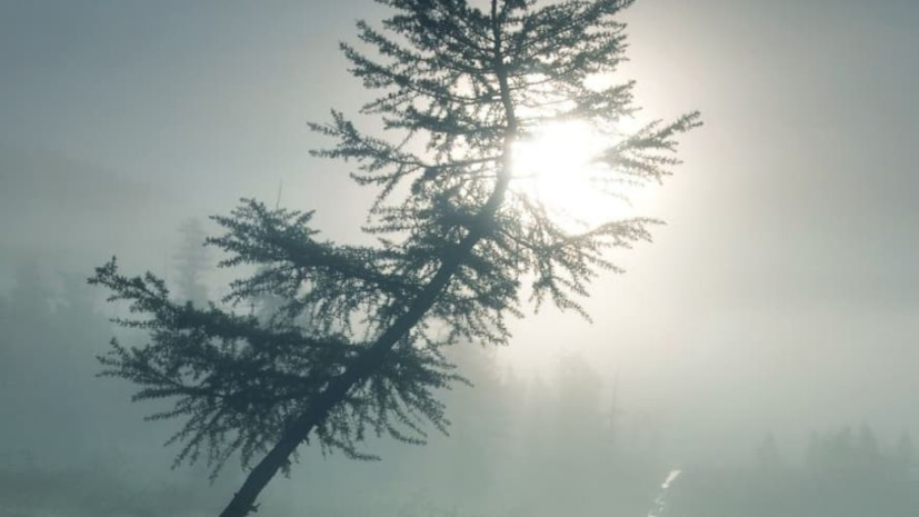 В Краснодаре начала работу выставка «30 лет Союзу фотохудожников России»