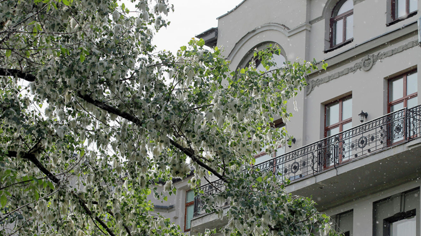 Иммунолог рассказал о способах защиты от тополиного пуха