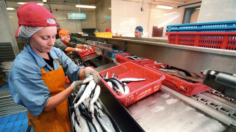 Крупный производитель рыбных консервов заявил о массовой подделке сайры