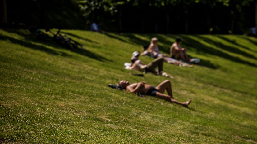 Синоптики предупредили о жаре до +36 °С на юге Тюменской области