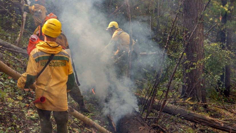 В России за сутки ликвидировали 96 лесных пожаров