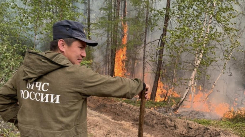 В России за сутки ликвидировали 97 лесных пожаров