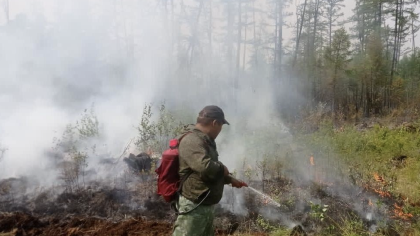 В России за сутки ликвидировали 121 лесной пожар