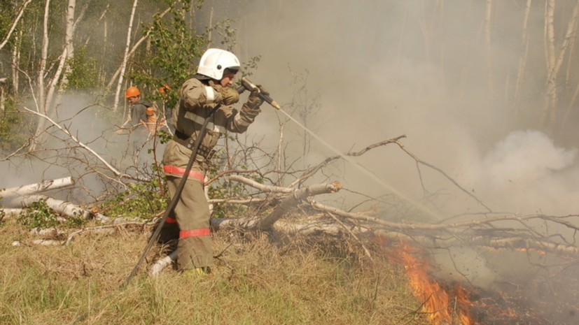 В России за сутки ликвидировали 122 лесных пожара