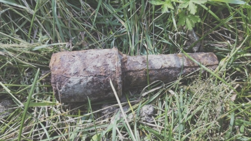 Житель Омской области принёс в свой двор найденную гранату времён войны