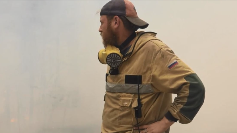 В России за сутки ликвидировали 103 лесных пожара