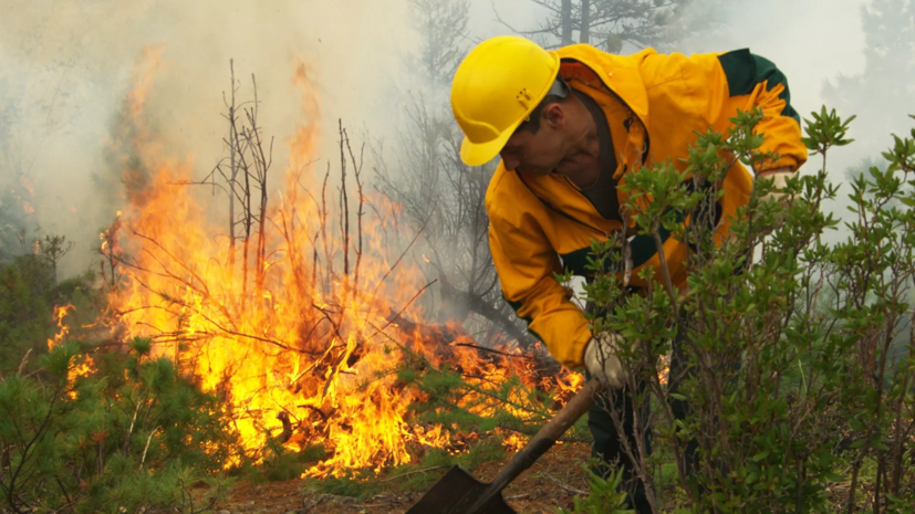 Площадь лесных пожаров в Карелии возросла до 11 тысяч га