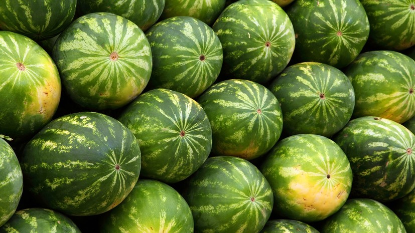 Диетолог рассказал, почему арбузы не способствуют похудению