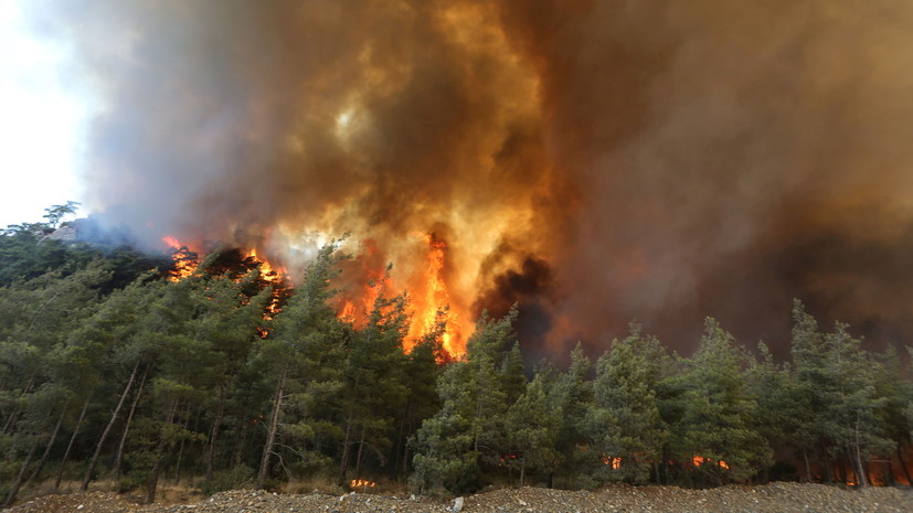 Терапевт дала советы находящимся в Турции в период лесных пожаров россиянам