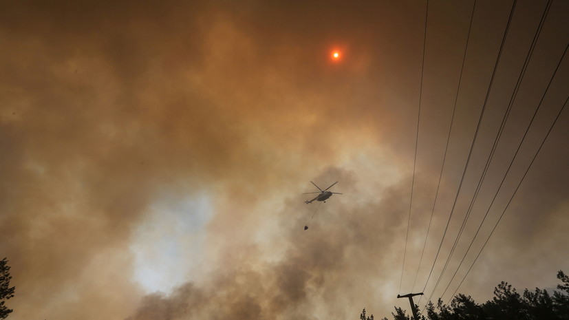 В турецком Бодруме из-за лесного пожара эвакуированы три отеля