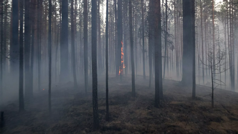 В Якутию прибыла инженерная рота Минобороны для тушения пожаров