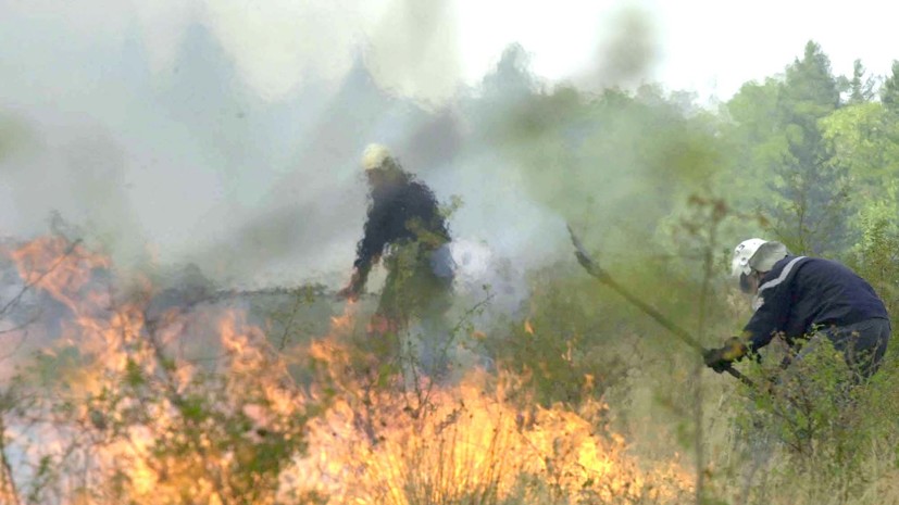 В Болгарии из-за лесных пожаров погибли два человека