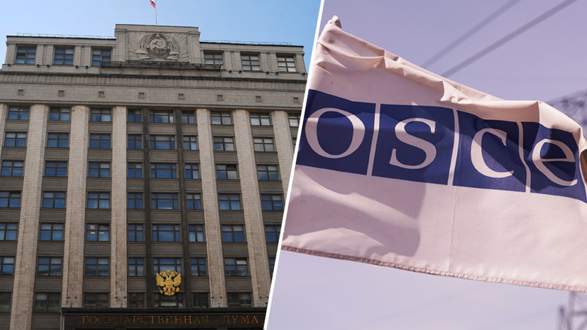 «Двойные стандарты в подходах»: в России отреагировали на отказ ОБСЕ наблюдать за выборами в Госдуму
