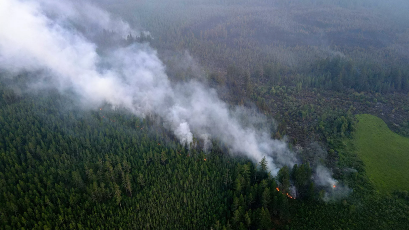 Дым от якутских пожаров задержится над Челябинской областью