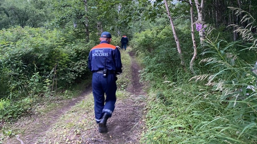 ТАСС: девять человек выжили при крушении вертолёта на Камчатке