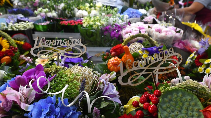 В России предложили заморозить цены на цветы перед 1 сентября