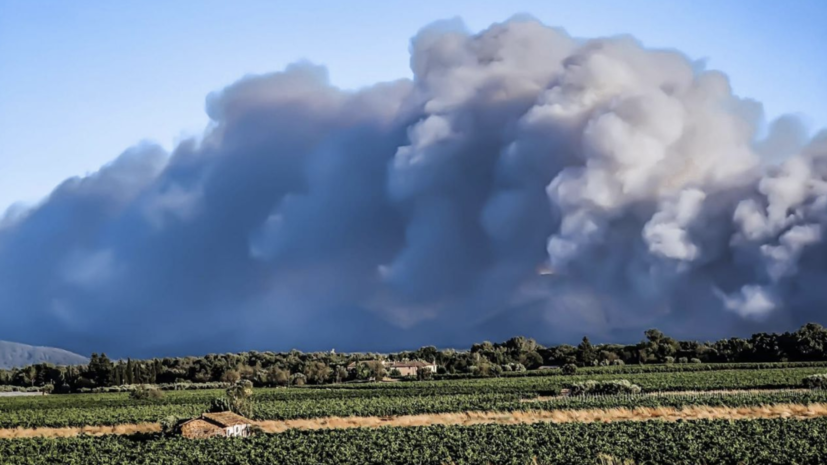 На юго-востоке Франции крупный лесной пожар