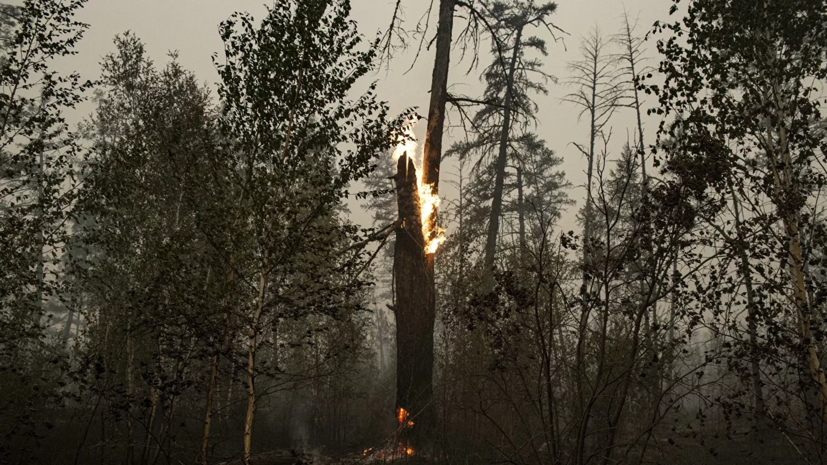Глава Марий Эл ввёл режим ЧС из-за ситуации с лесными пожарами