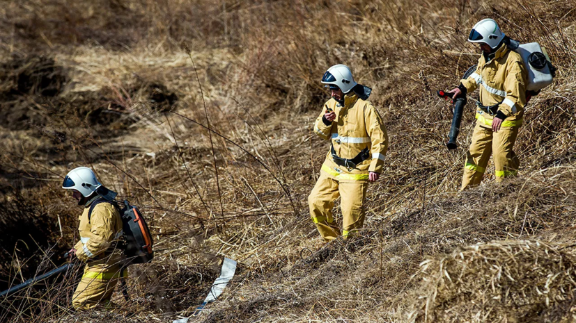 В Свердловской области заявили об увеличении площади лесных пожаров
