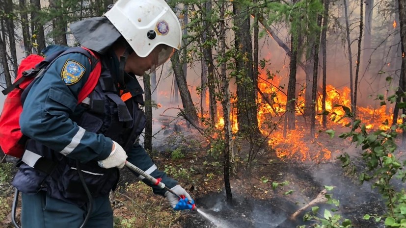 В России за сутки ликвидировали 117 природных пожаров