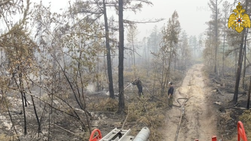 В России за сутки ликвидировали 95 природных пожаров