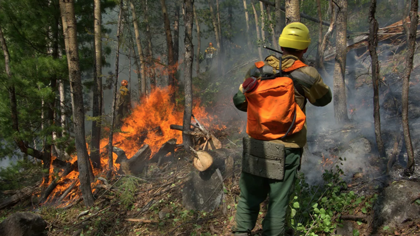 Лесные пожары площадью более 411 тысяч га ликвидировали в Якутии за сутки