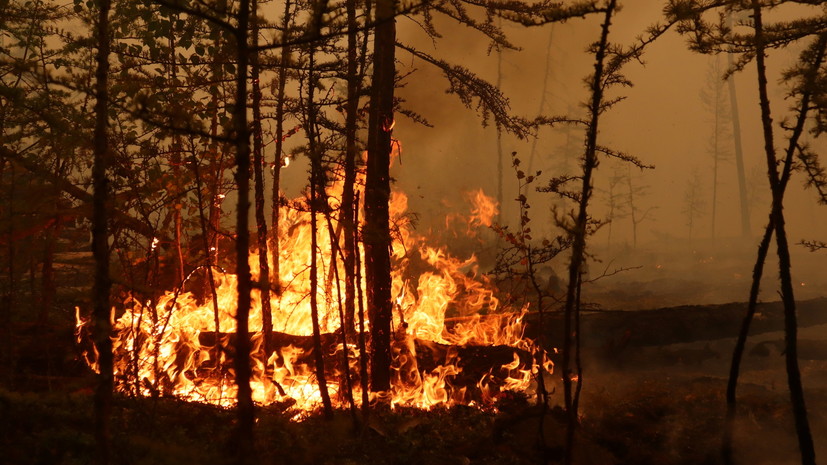 В Свердловской области зафиксирован новый очаг лесного пожара