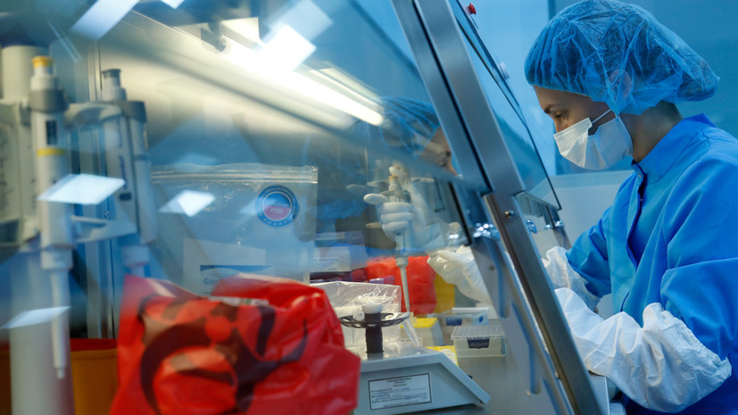 В Петербурге провели более 11,6 млн ПЦР-тестов на COVID-19 с начала пандемии