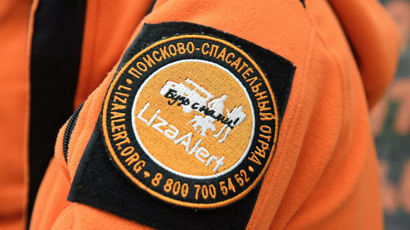 Отряд «Лиза Алерт» получил более 26 тысяч заявок на поиски людей в 2021 году