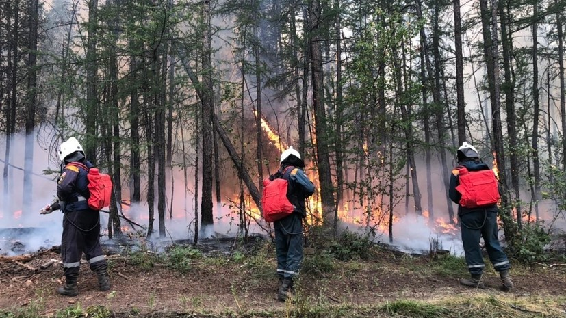 Мэр Тольятти назвал предварительную версию лесного пожара