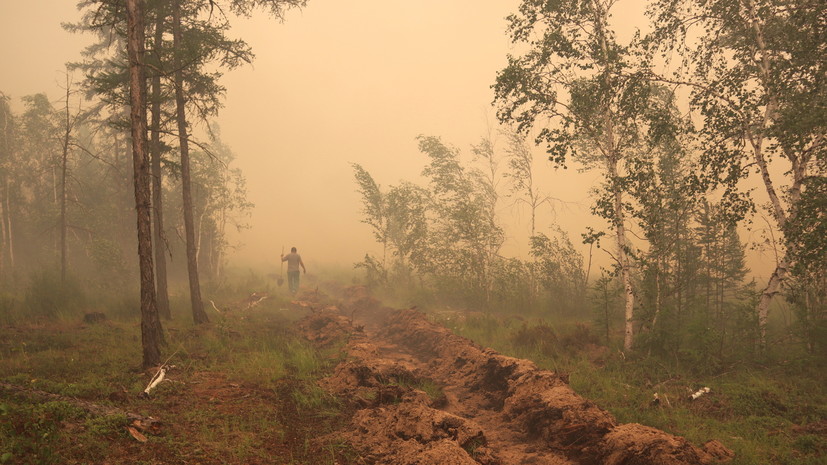 Никитин назвал контролируемой ситуацию с пожарами на границе с Мордовией