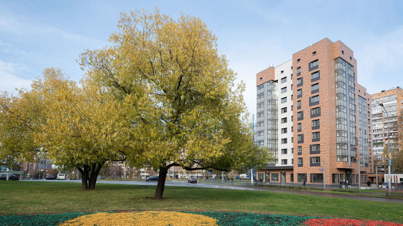 В Москве рассказали о ходе программы реновации