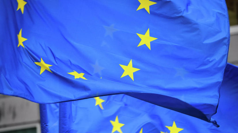 В ЕС назвали приговор Колесниковой и Знаку необоснованным