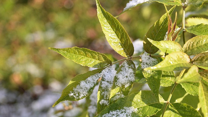 Синоптики предупредили о снеге и заморозках в Челябинской области