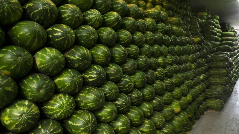 Врач Чернышова рассказала о возможных причинах отравления арбузами