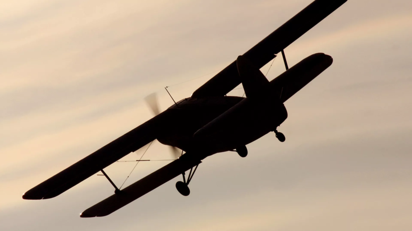 В Подмосковье прошли учения Авиалесоохраны