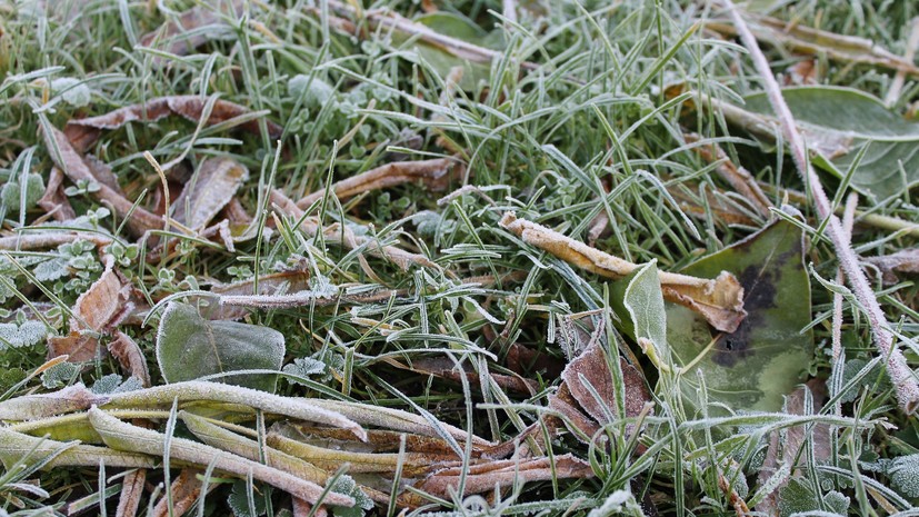 В Свердловской области ожидаются заморозки до -5 °С
