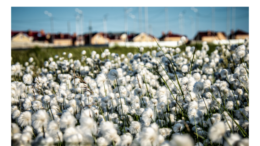 В ЯНАО могут расширить возможности использования регионального маткапитала