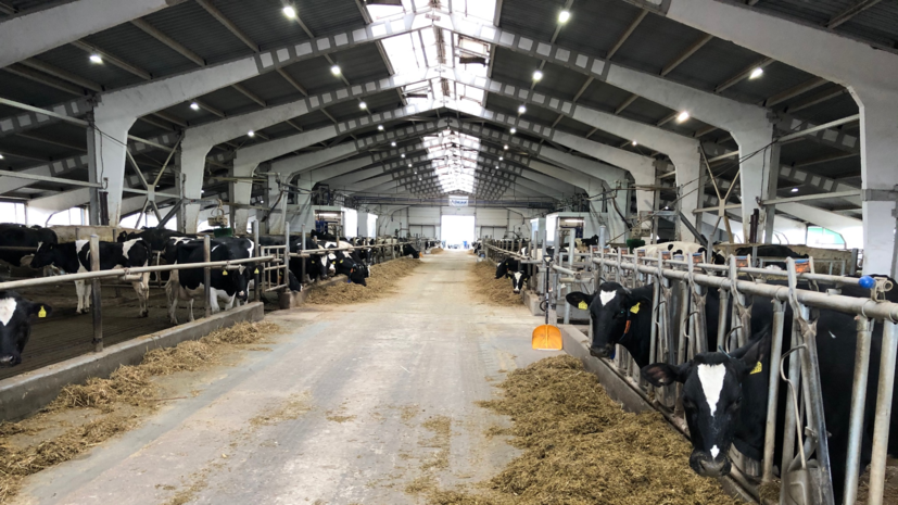 Аграрии Подмосковья получили субсидии на 3,3 млрд рублей с начала года