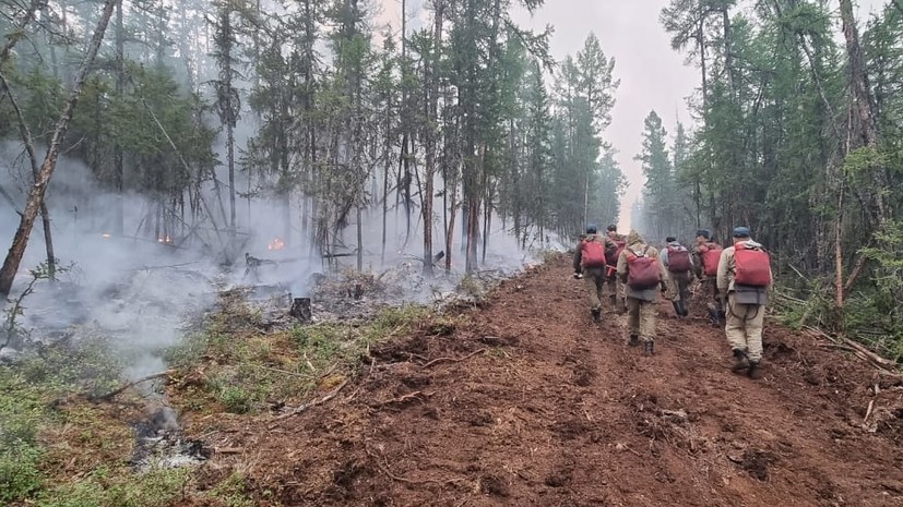 В России за сутки потушили 20 лесных пожаров