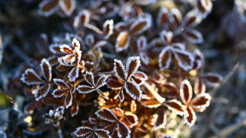 Синоптики прогнозируют заморозки до -5 °С в Челябинской области