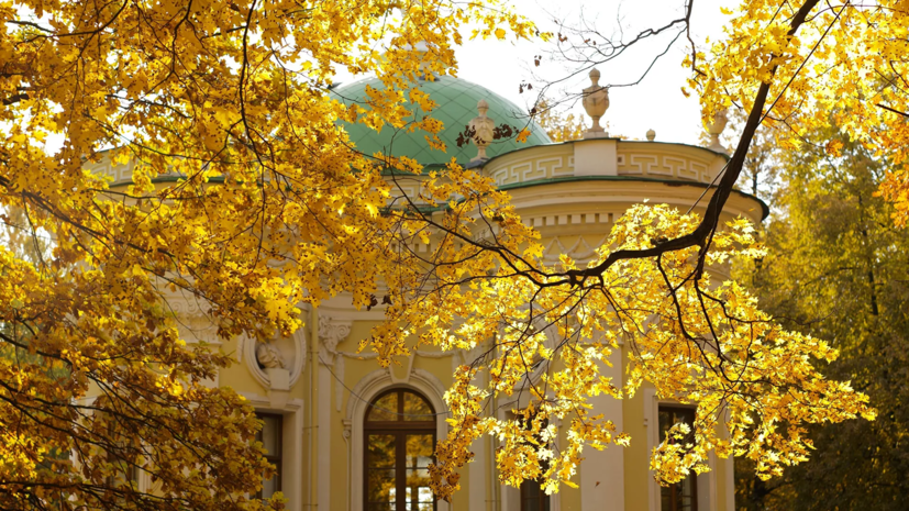 Вильфанд рассказал о погоде в Москве