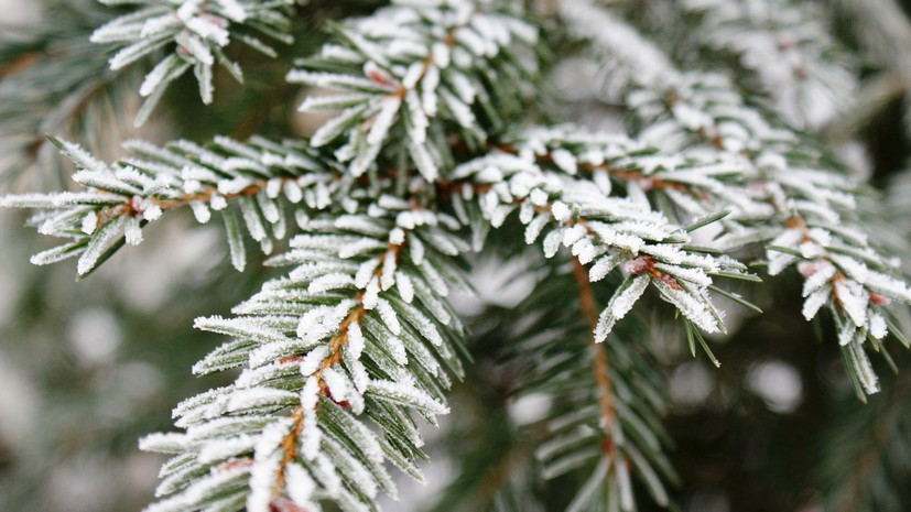 Синоптики предупредили о заморозках до -8 °С в Челябинской области